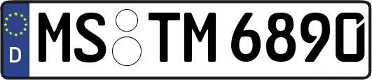 MS-TM6890
