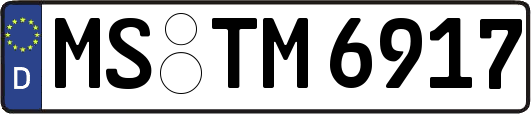 MS-TM6917