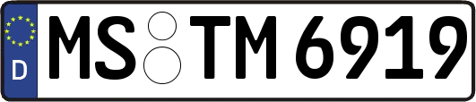 MS-TM6919
