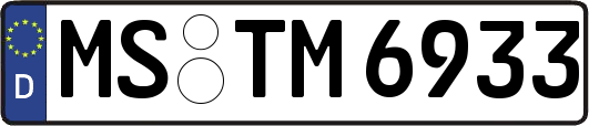 MS-TM6933