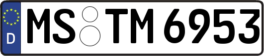 MS-TM6953