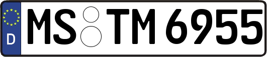 MS-TM6955