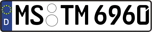 MS-TM6960