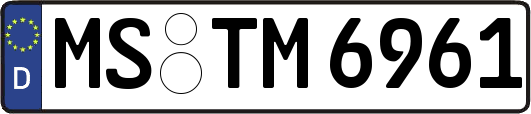 MS-TM6961