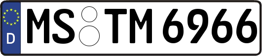 MS-TM6966