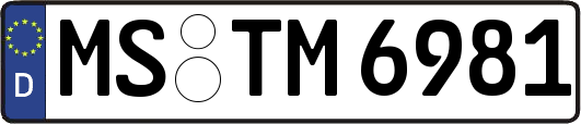 MS-TM6981