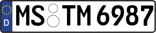 MS-TM6987