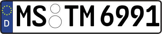 MS-TM6991