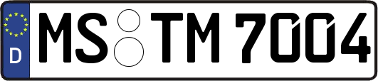 MS-TM7004