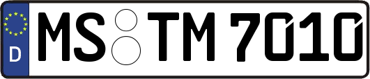 MS-TM7010