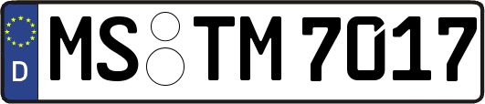 MS-TM7017