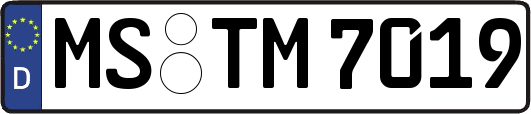 MS-TM7019