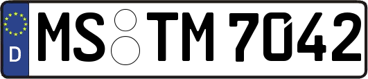 MS-TM7042