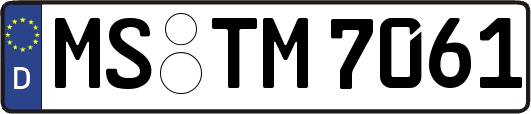 MS-TM7061