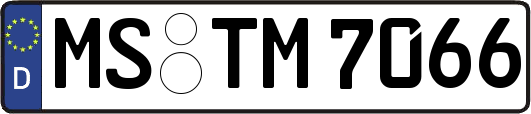 MS-TM7066