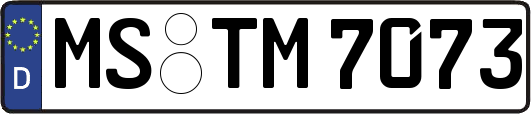 MS-TM7073