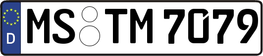MS-TM7079
