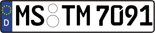 MS-TM7091