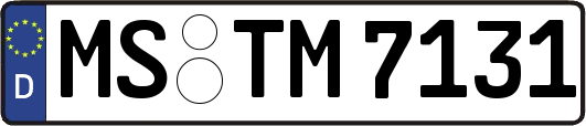 MS-TM7131