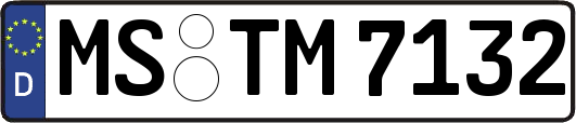 MS-TM7132