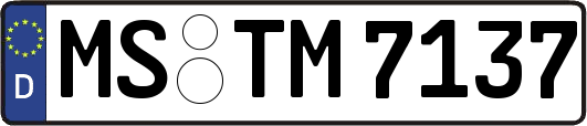 MS-TM7137
