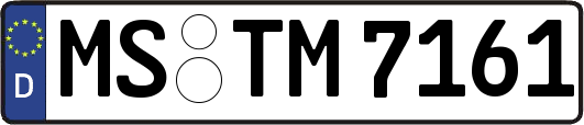 MS-TM7161