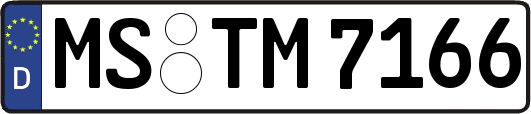 MS-TM7166
