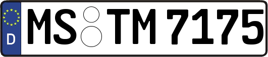 MS-TM7175
