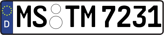 MS-TM7231