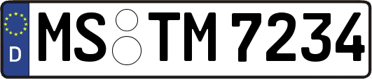 MS-TM7234