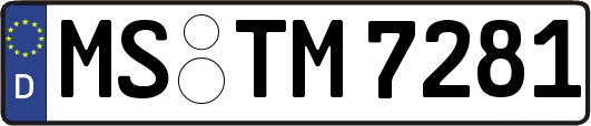 MS-TM7281