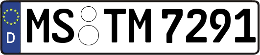 MS-TM7291