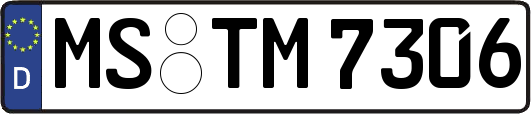 MS-TM7306