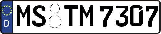 MS-TM7307