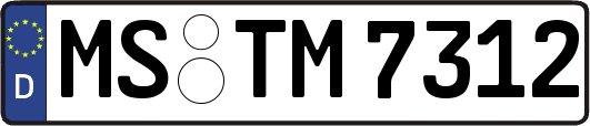 MS-TM7312