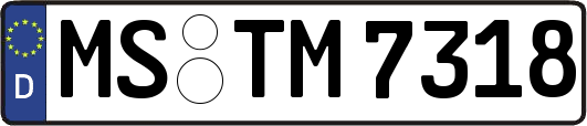 MS-TM7318