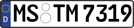 MS-TM7319