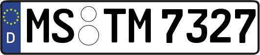 MS-TM7327