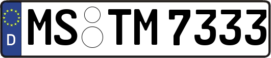 MS-TM7333