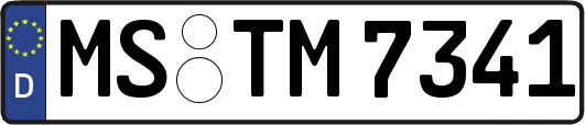 MS-TM7341