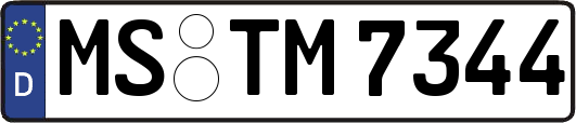 MS-TM7344