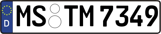 MS-TM7349