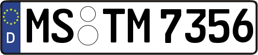 MS-TM7356