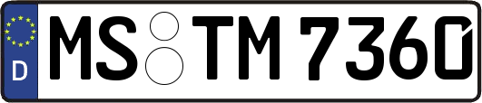 MS-TM7360