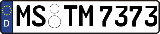 MS-TM7373