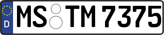 MS-TM7375