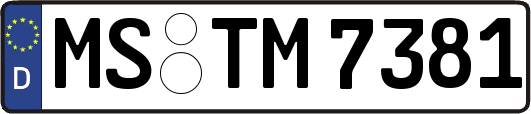 MS-TM7381