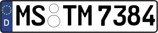MS-TM7384