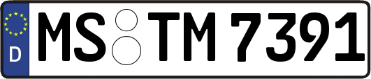 MS-TM7391