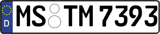 MS-TM7393